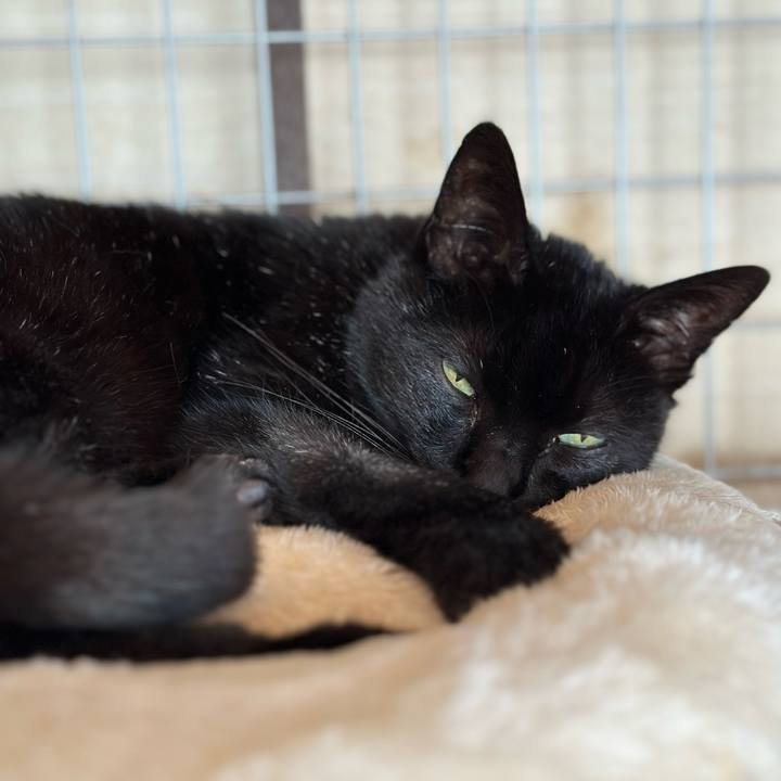 F70a3dd2 d46c 44be bfba 611ee5dc3d52 1676080366871