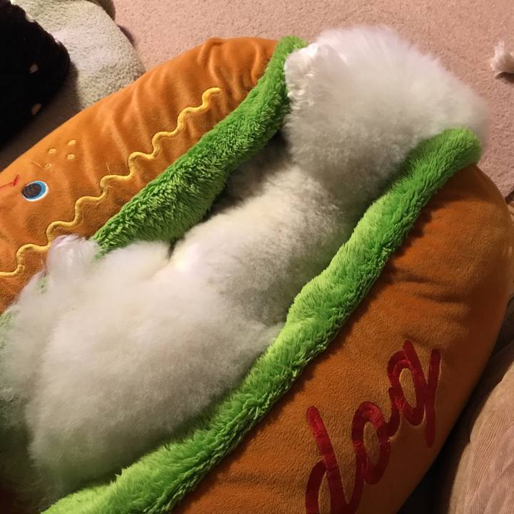 F70a8c92 7775 4606 84b8 b51f88ed1f4f 1553089316384