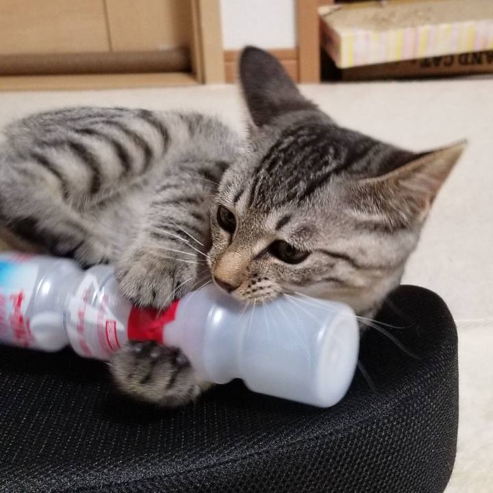 F70a8eb3 0423 458d 8d25 e80a547b821e 1667218555898