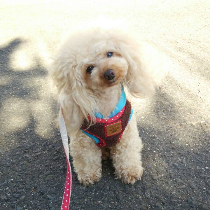 F70a99aa 91ed 4478 9945 fc3a7bffd14b 1516102562134