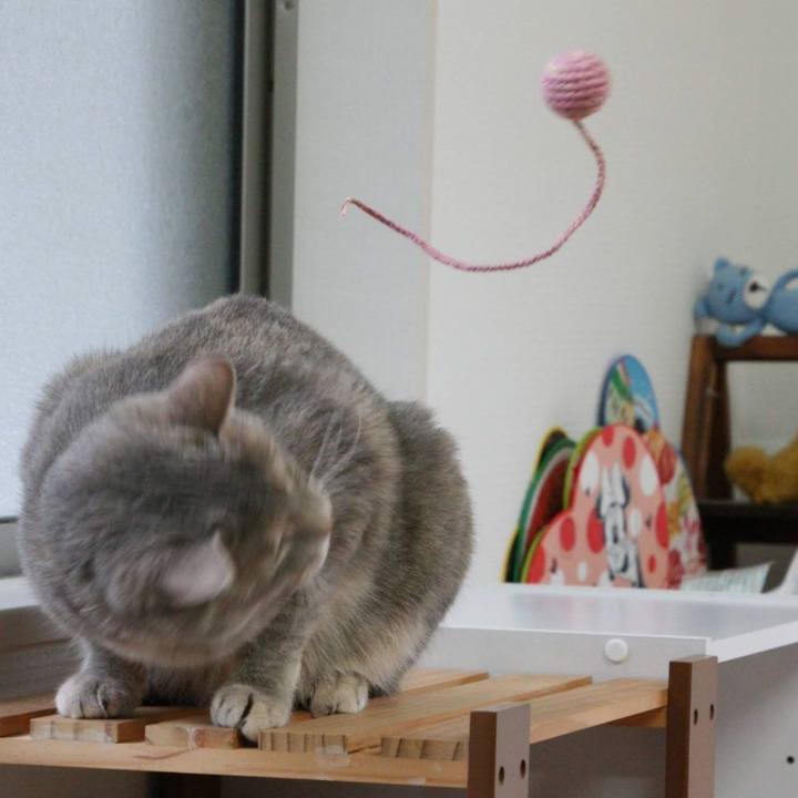 F70abbd3 5344 4d7d b119 2716b6ee87f1 1530871985789