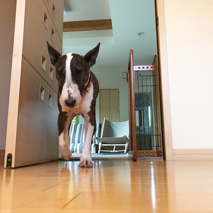 F70b0484 967e 45fb a854 323e0553f21e 1528197945222