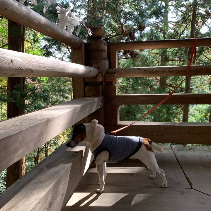 F70b0730 6c55 4ee6 b460 c4f0d02a3290 1575299339655