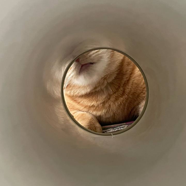 F70b186c db02 48f6 9860 db02a4ccb40a 1766398879478