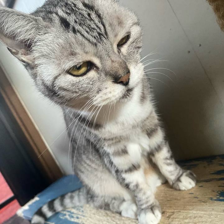 F70b3799 9d4b 48a1 b36e 1ac0a478db05 1731881579255