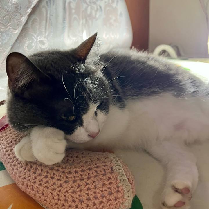 F70b5b2e 5c42 4436 b337 4d893f874c2f 1764241454851