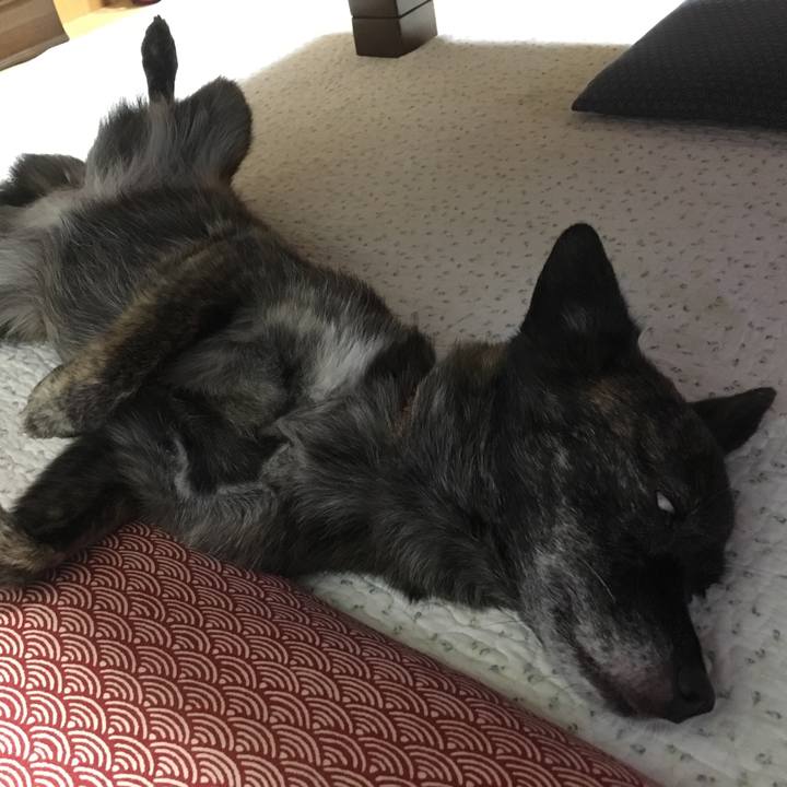 F70b623e 7367 4cbb bfc3 fe5244a583bd 1537147015598