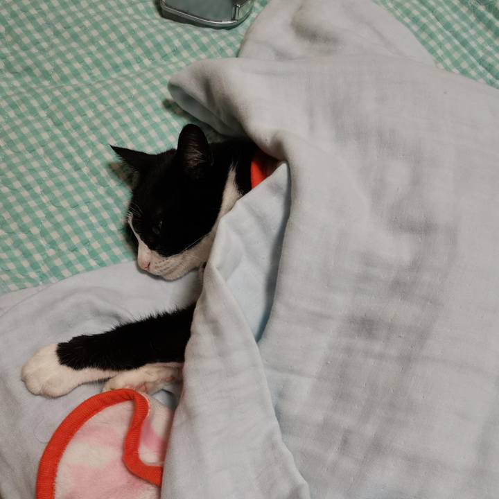 F70c2148 6a35 41ff 8feb 3a8fde3593bd 1694403407878