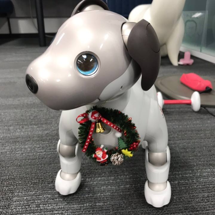 F70c29ee 21a9 4d01 a923 6b335a56027f 1545395980947