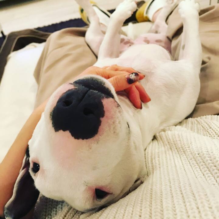 F70c4772 4b46 4aba bc36 52fda480908f 1516770545663