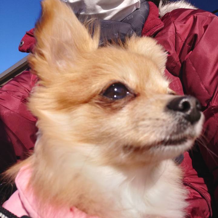 F70c9e88 9e39 41a5 a71d fcbef863e24d 1742528072069