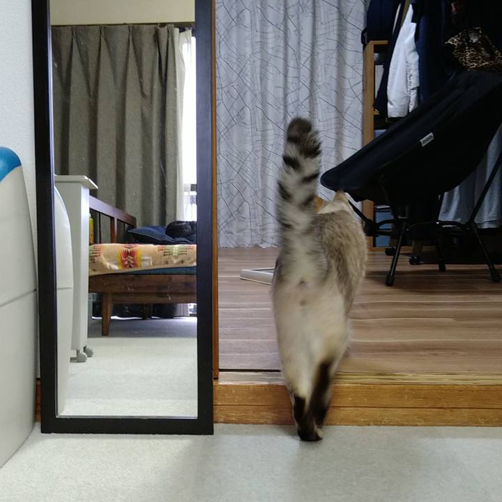 F70ccb45 3cd7 4e63 932e ddc8984a8c9c 1719737872034