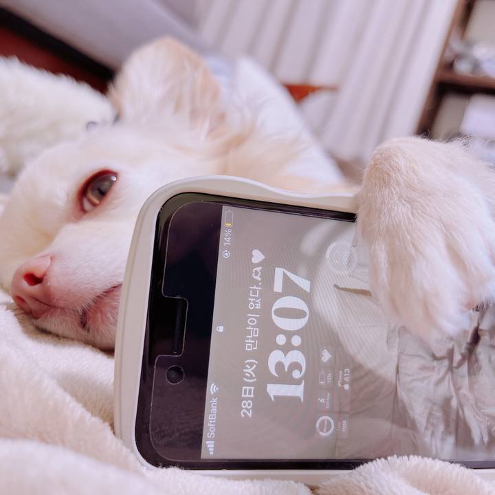 F70ccfcb 5d65 49e4 92e1 1e643f3e125a 1679977476152