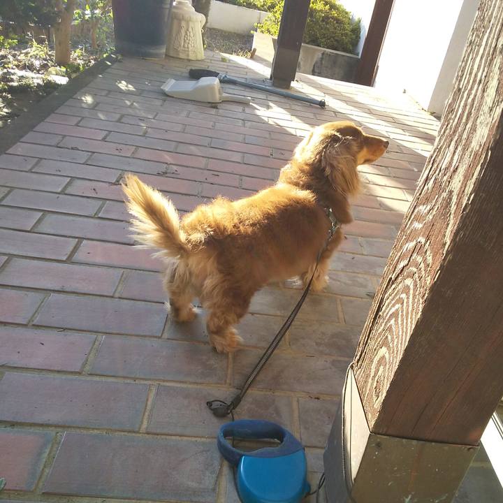 F70ceafb a1af 4b63 b492 5acf00cecd32 1603612480728