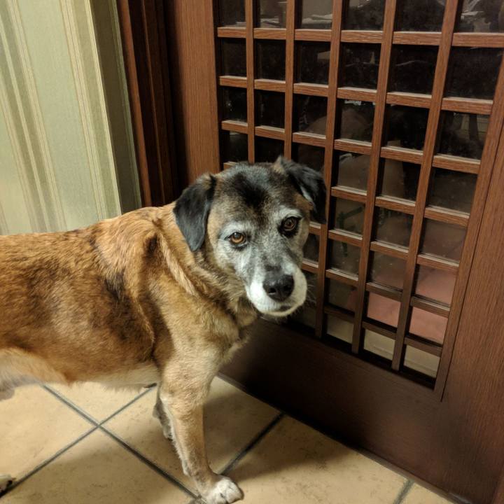 F70d2b35 036f 43fa 8521 97638f6247e0 1513847595121