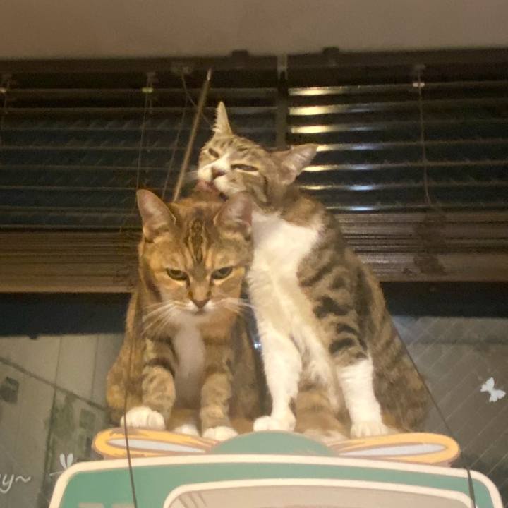 F70d51df aec5 46d4 98e7 4829b2c1635f 1631372355683