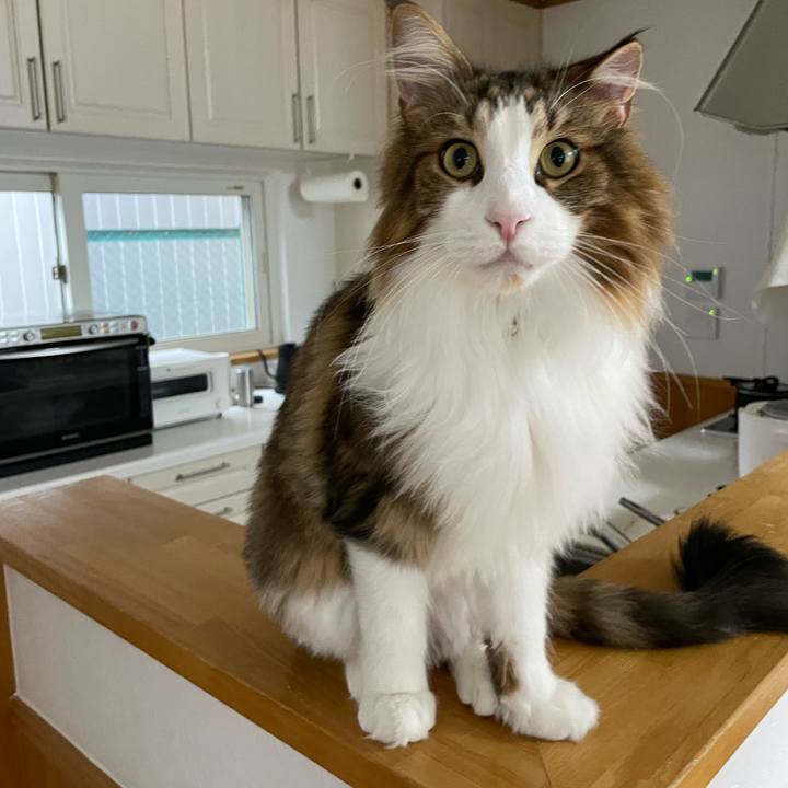 F70d5ee3 be76 4587 b95d 3ba3a6ce5296 1665352870693