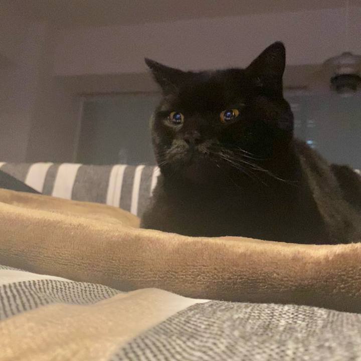 F70d655c d88d 4871 be75 c75cfa41d2c8 1771421806872