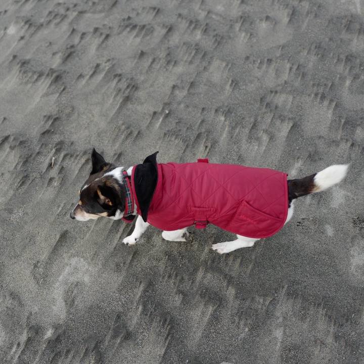 F70da7be 56aa 4c6d 92eb be455c4b1dd7 1552365031047