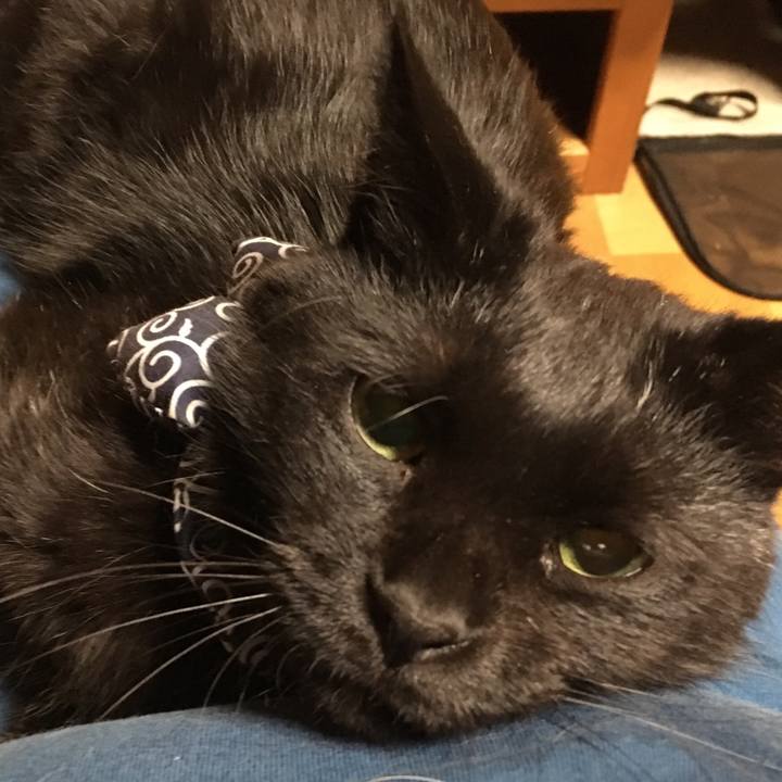 F70da9e1 8124 48eb a305 b07f879b0a7e 1537880041476