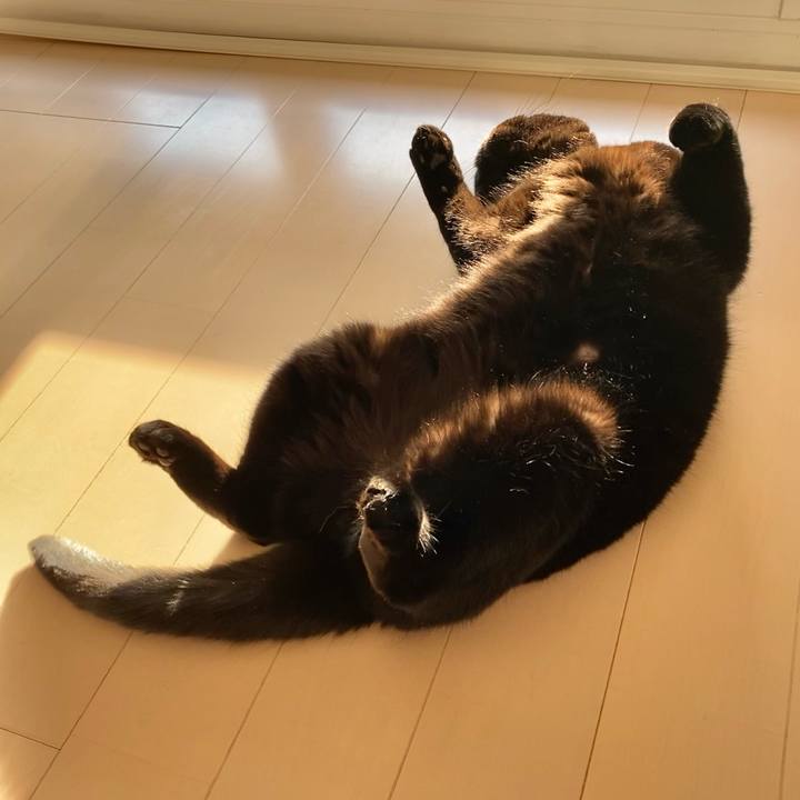 F70db213 285d 4ebc b95f 9e3c18c2a652 1615101131438