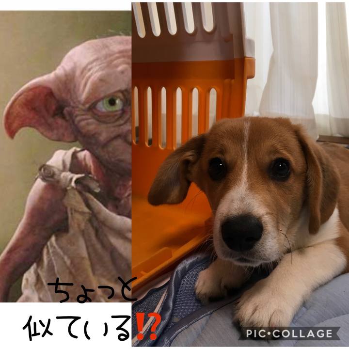 F70db920 395d 481a 9bde deb22b026076 1592263495414