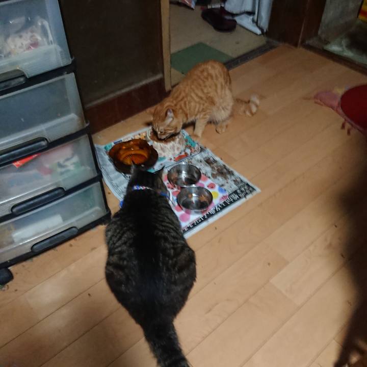 F70dd5b2 11cf 4d12 a1c8 0ccf7b8307a2 1658697657189