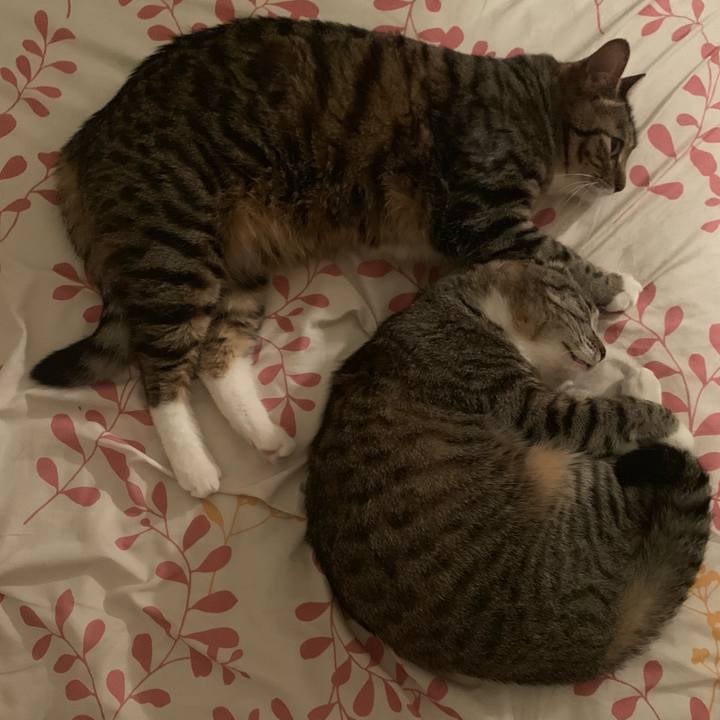 F70ddee2 003c 4bc6 9978 7b04cdfce754 1559660040302