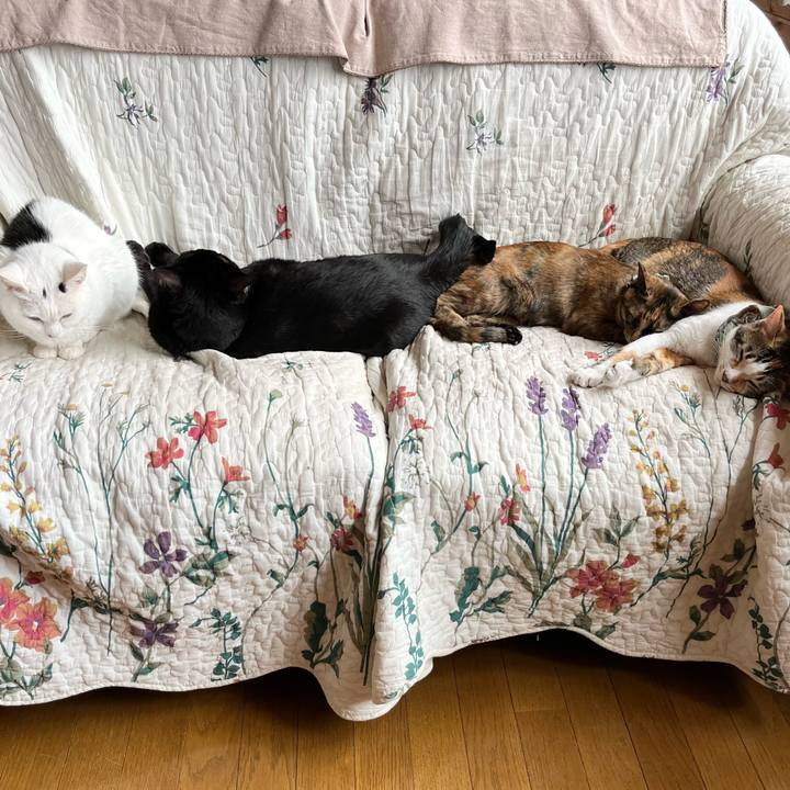 F70e00f6 cd07 4804 ba49 5f5e72abd4b9 1653862843246