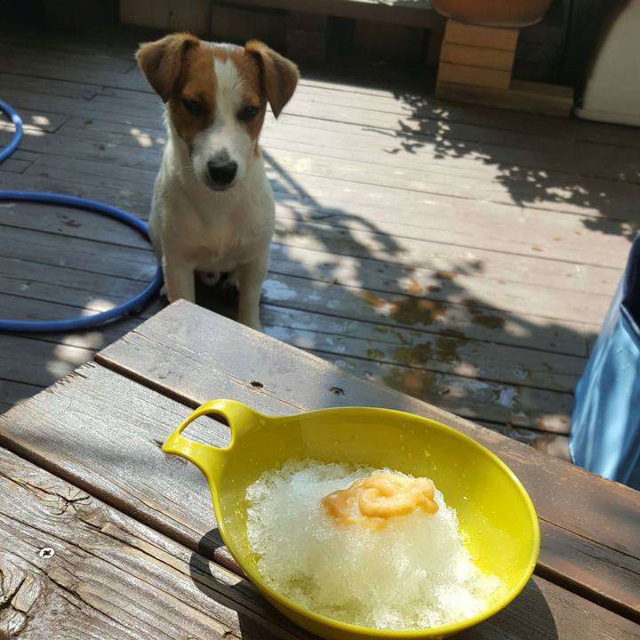 F70e07fd 359d 4538 abe8 383687a123e5 1566006894989