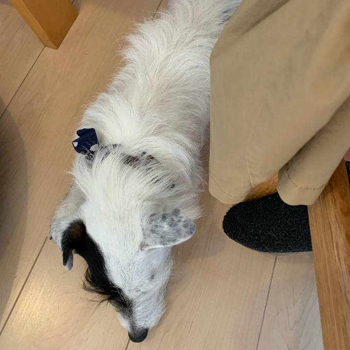 F70e19af de9d 4948 a182 704b1dc8616e 1650703774486