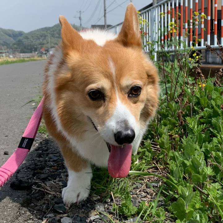 F70ea135 143c 45f2 a733 773f411544cc 1680661632588