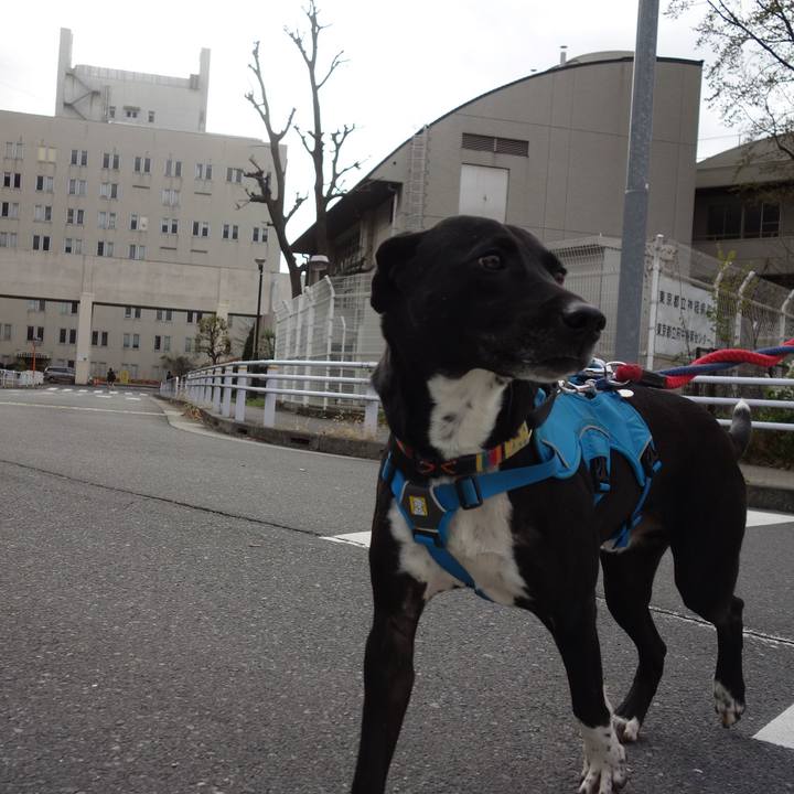 F70ea7b1 eebc 4007 8b5e a8673ddde199 1616370505052