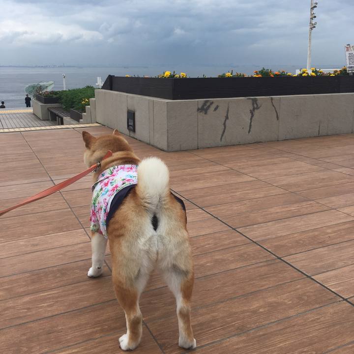 F70eae73 9f6b 4ec7 a67c 672c92d5d282 1563421711000