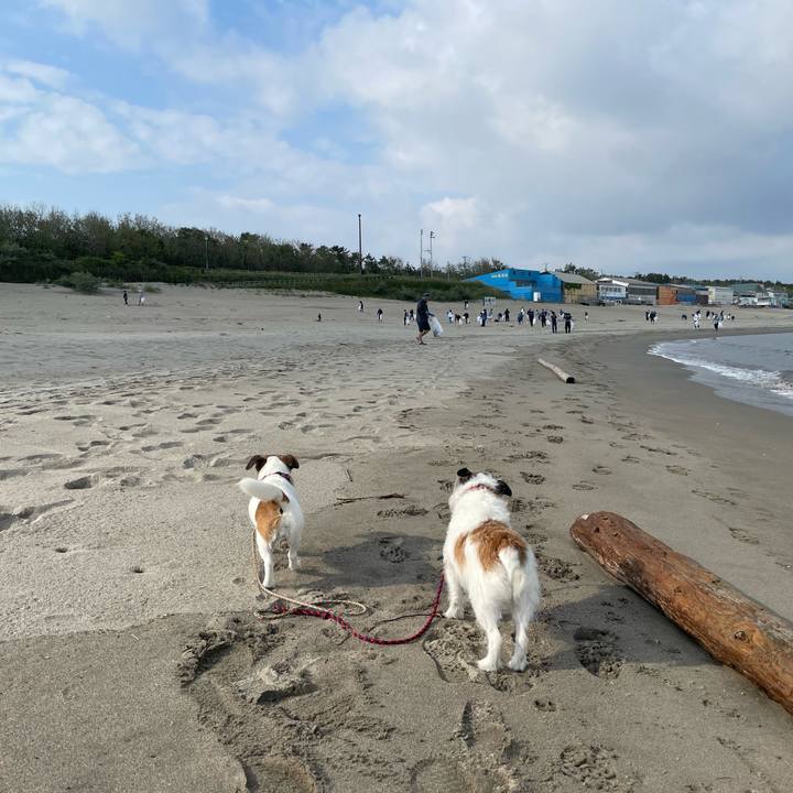 F70faf84 908f 49a0 a6af cd640d0480fc 1717197368948