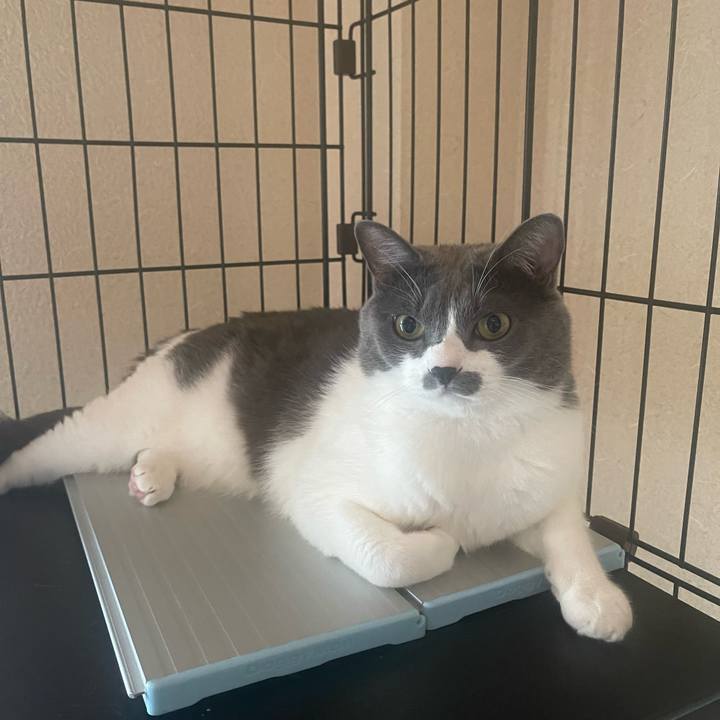 F70fc8a3 80ca 42fb a728 6e1f9c004135 1694734460971