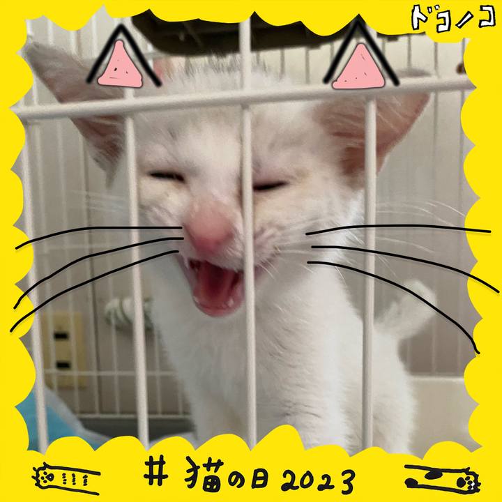 F70fd1b1 c2fa 4c1e 8d8a 90a9064fd8ce 1677034981172