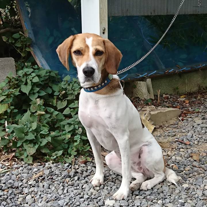 F70ff280 3412 43d8 8cd4 1e855689042f 1569544803243