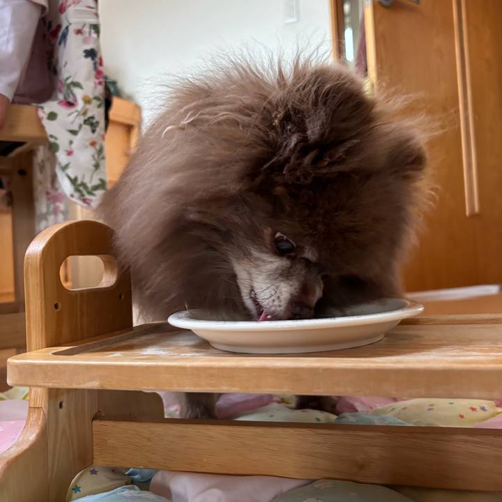 F7104ddd db71 4c0f 8ed7 22c28d4e96ff 1748639785580