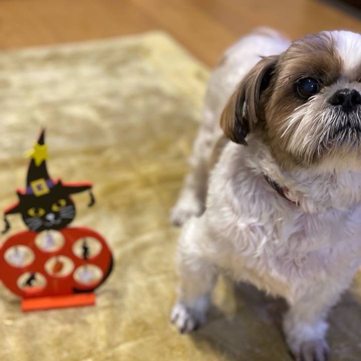 F71061d2 9e4f 4747 a53b afbedc7b1207 1667210151952