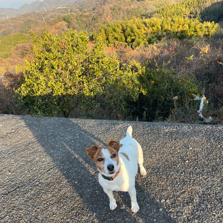 F710861e 4d84 431b 9eba 752eaeab6fb5 1767355324105