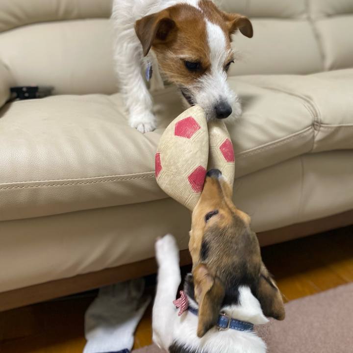 F710cdac 62c1 4e85 80cd ac1b6ad7c00c 1744406596967