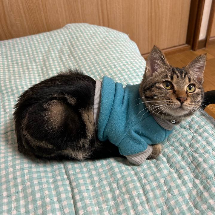 F710d489 7a14 450e 8bac e205dc63f017 1733613427235