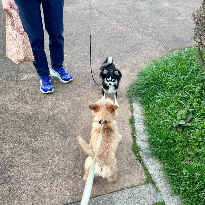 F711019e a345 471b 83f8 b1ad5b915137 1710599400018