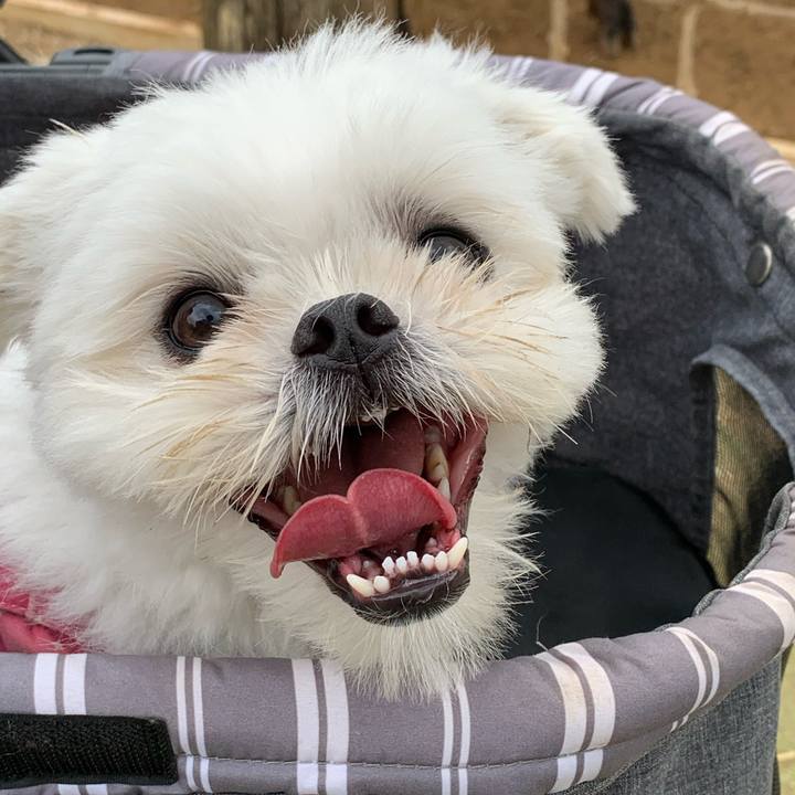 F7112bcb e186 41c8 ab0a 3725f393d6e5 1664195628619