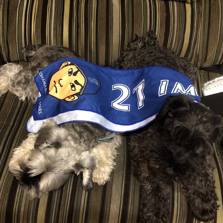 F7113998 5da4 4832 929a c47260276be8 1567347804186