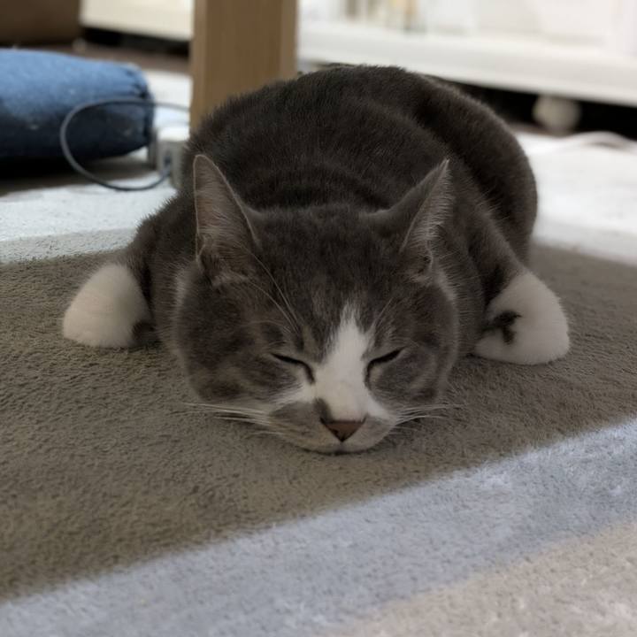 F7113d98 8e8d 4503 ae51 e9d34559550f 1752064793678