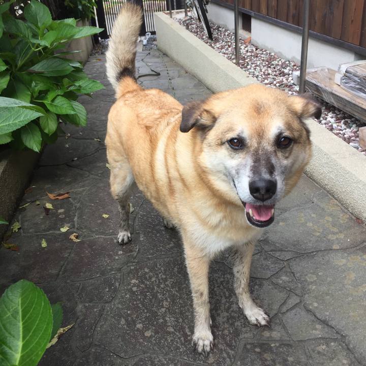 F7114bfc e0a8 428f bed2 3eb8f9ab7983 1563172166992