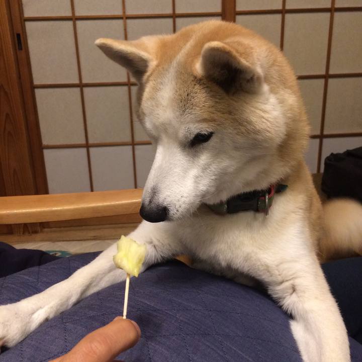 F71152dc df72 46cc bb60 7ed9b1e40722 1547733152765