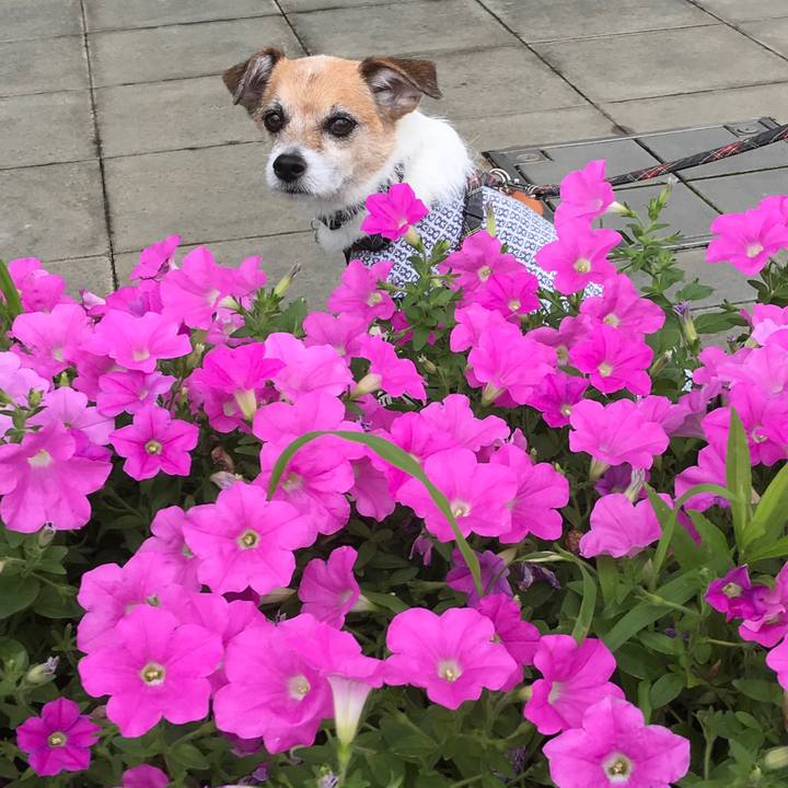 F7115489 65c4 4b22 861f 533a9da3c749 1594507864535